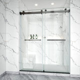 Frameless Double Sliding Shower Door Stainless Steel BD - 01 - Bakiwhs