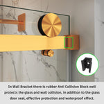 Frameless Single Sliding Shower Door 3/8 Tempered Glass BS - 05 - Bakiwhs