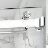 Frameless Double Sliding Shower Door Stainless Steel BD-01