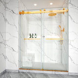 Frameless Double Sliding Shower Door Stainless Steel BD - 01 - Bakiwhs